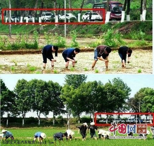 湖南衡阳法官上班时间开警车种田被指作秀(图)